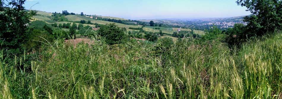 IMG_20160513_101003.jpg (950×335)