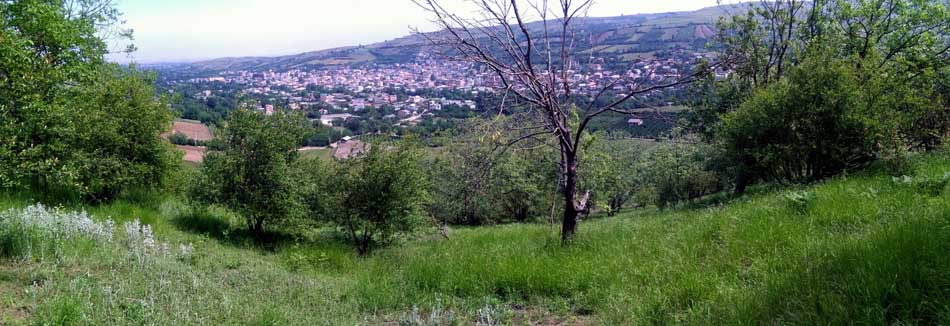 IMG_20160513_103800.jpg (950×326)