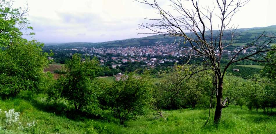 IMG_20160506_093029.jpg (950×463)