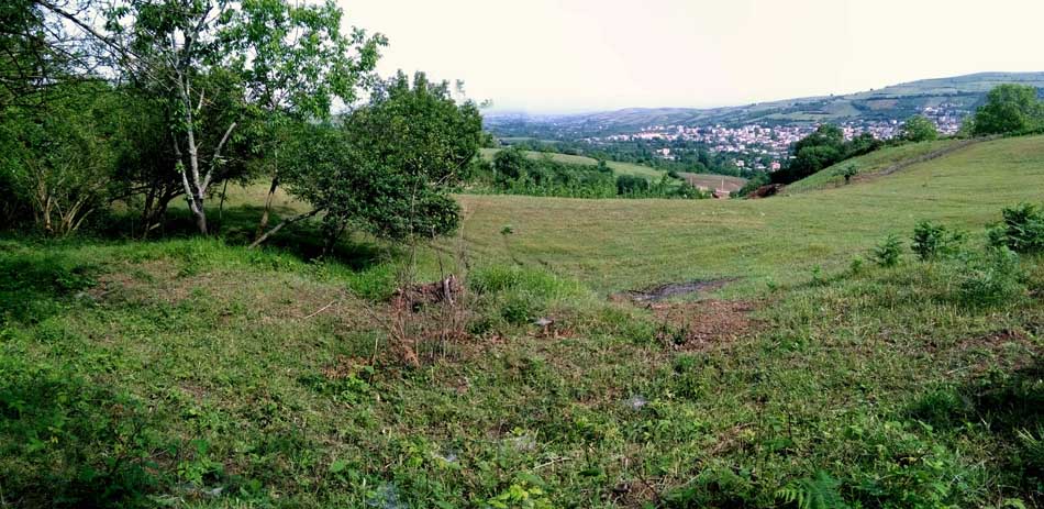 IMG_20160506_095709.jpg (950×463)