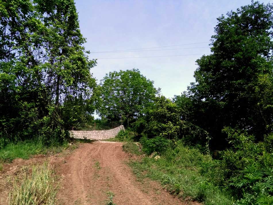 IMG_20160506_102746.jpg (950×713)