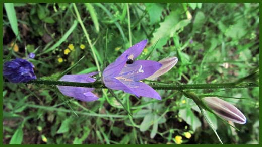 IMG_4470_copy.jpg (520×292)