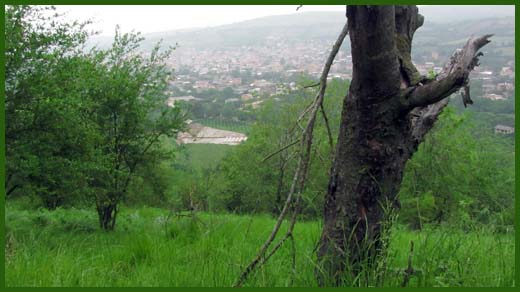 IMG_4534_copy.jpg (520×292)