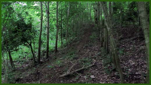 IMG_4592_copy.jpg (520×292)