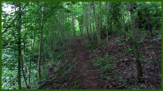 IMG_4593_copy.jpg (520×292)