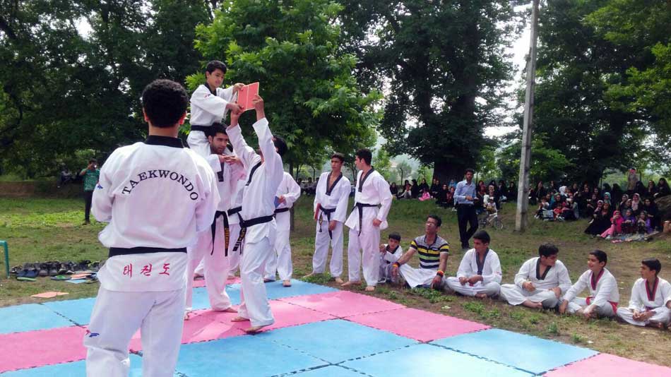 photo_2016_05_27_20_11_59.jpg (950×534)