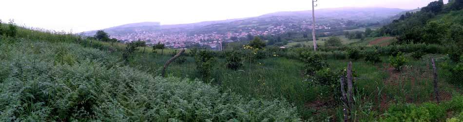 IMG_20160507_082634.jpg (950×252)