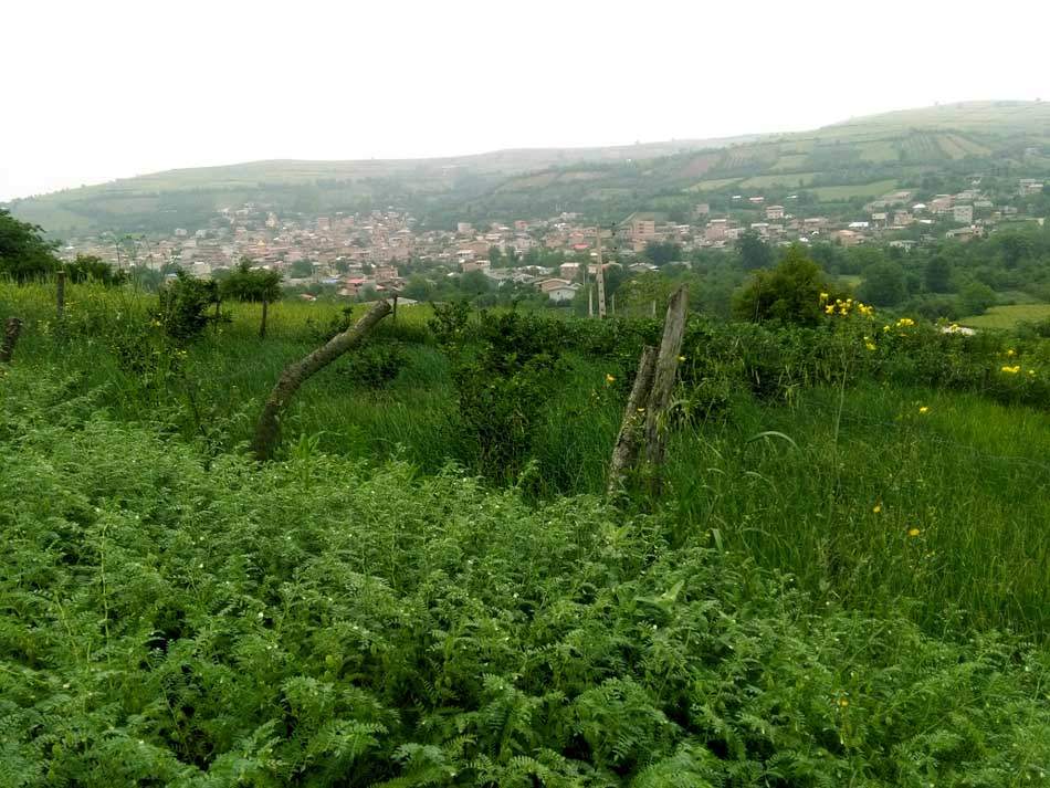 IMG_20160507_082750.jpg (950×713)