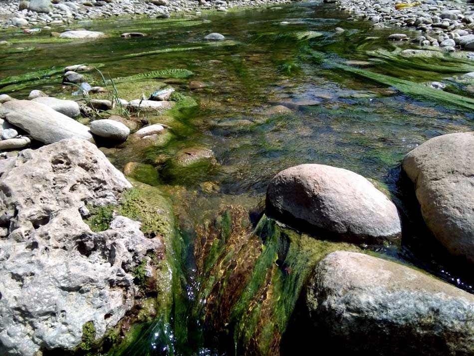 IMG_20160519_145246.jpg (950×713)