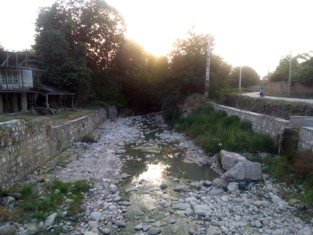 IMG_20160530_194123.jpg (1000×750)