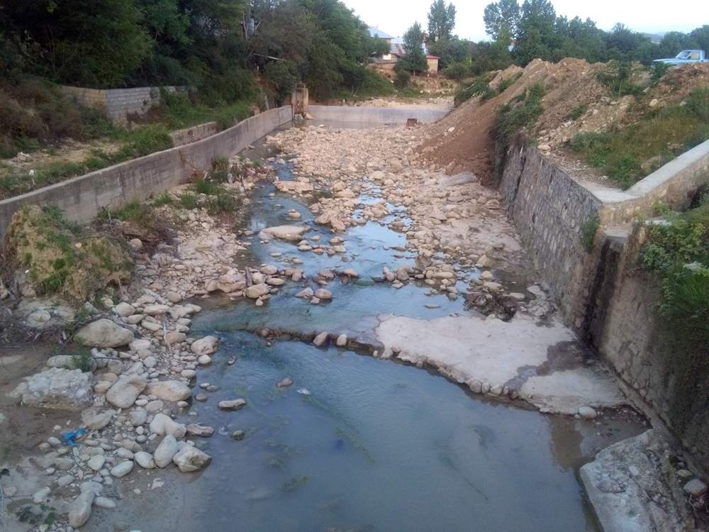 IMG_20160530_194139.jpg (1000×750)