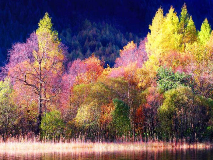 [تصویر:  201542081453116a.jpg]