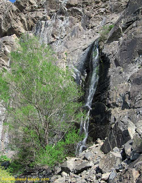 بدر و پریشان