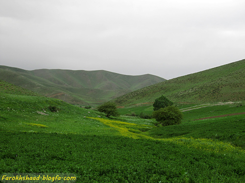 بدر و پریشان