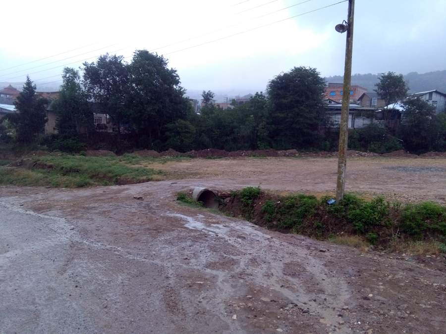 IMG_20160608_085709.jpg (900×675)