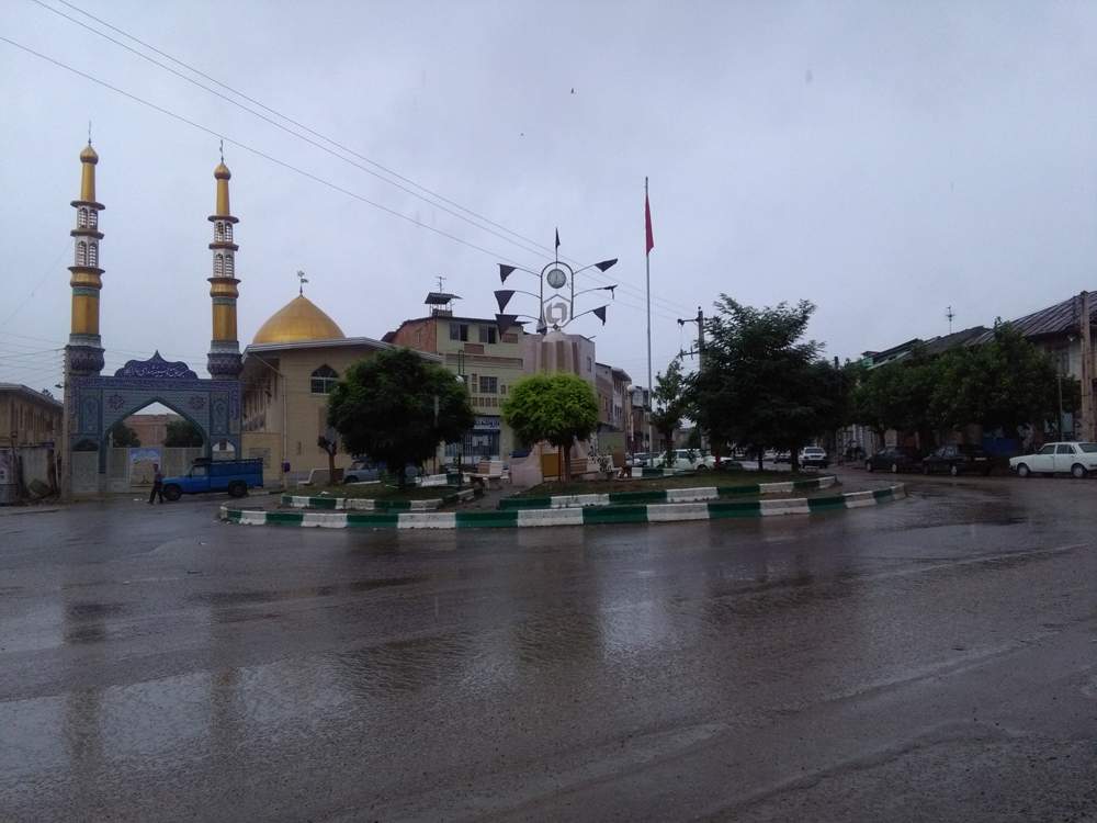 IMG_20160608_090317.jpg (1000×750)