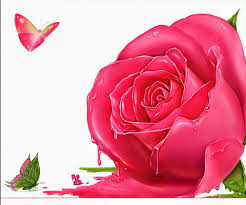 اشعار عربی