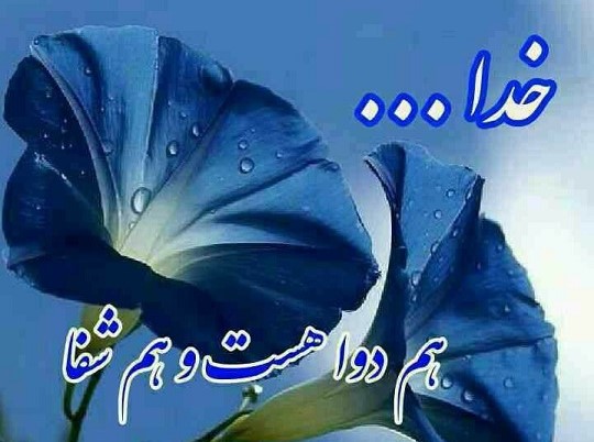 http://s7.picofile.com/file/8255656768/1447127092627623.jpg