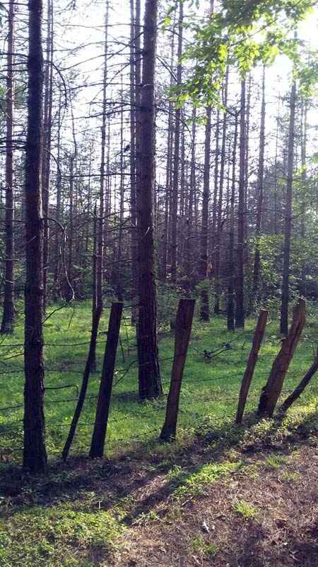 photo_2016_06_13_20_03_50.jpg (450×800)