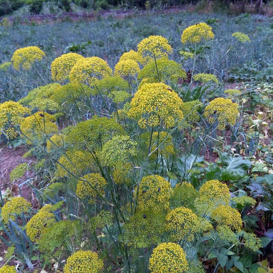 CM160610_17470803.jpg (950×950)