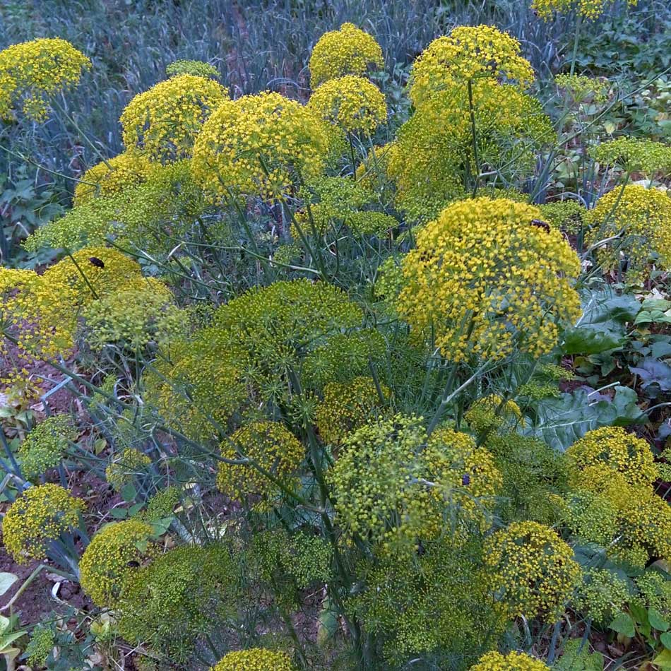 CM160610_17473005.jpg (950×950)