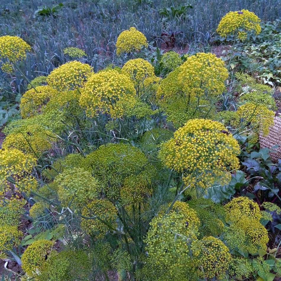 CM160610_17474707.jpg (950×950)