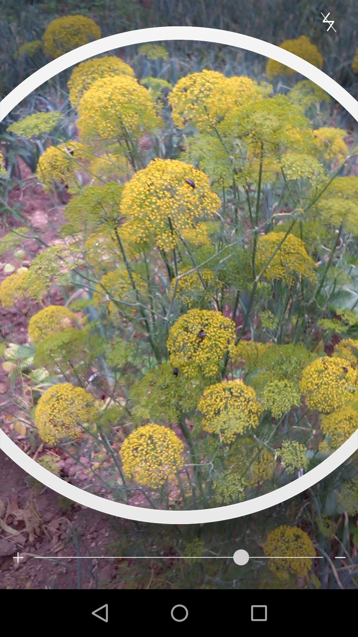 Screenshot_2016_06_10_17_44_15.png (720×1280)