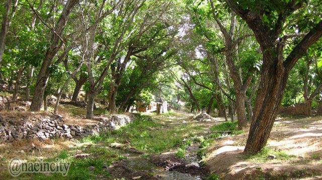 نایین منظره زیبا از روستای کجان