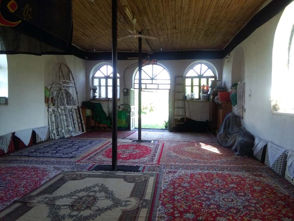 IMG_20160623_173708.jpg (1000×750)