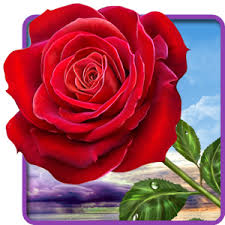 http://s7.picofile.com/file/8258197200/images.jpeg