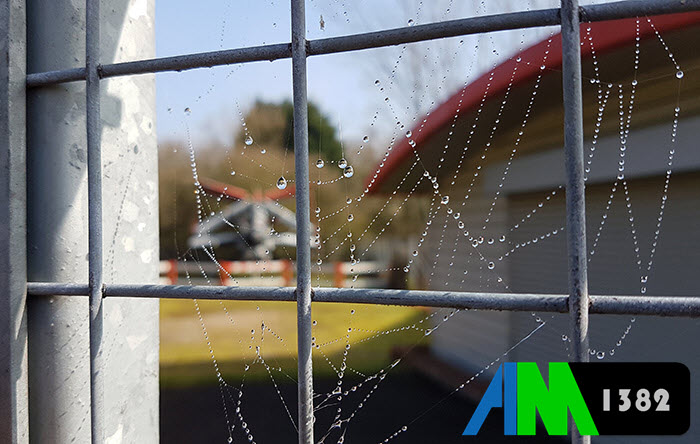 ۰۴ عکاسی موبایل گوشی اندرویدی