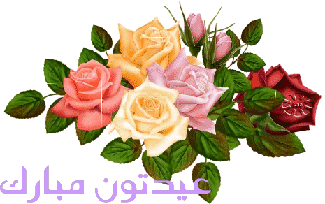 نتیجه تصویری برای بقیه در ادامه مطلب متحرک