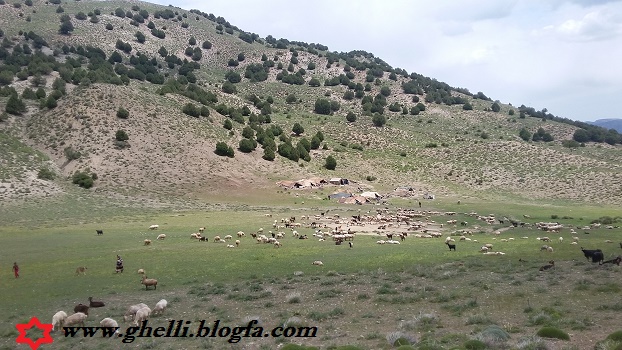 http://s7.picofile.com/file/8258914626/%D9%85%D9%84%D8%BA%D8%B2%D8%A7%D8%B12.jpg