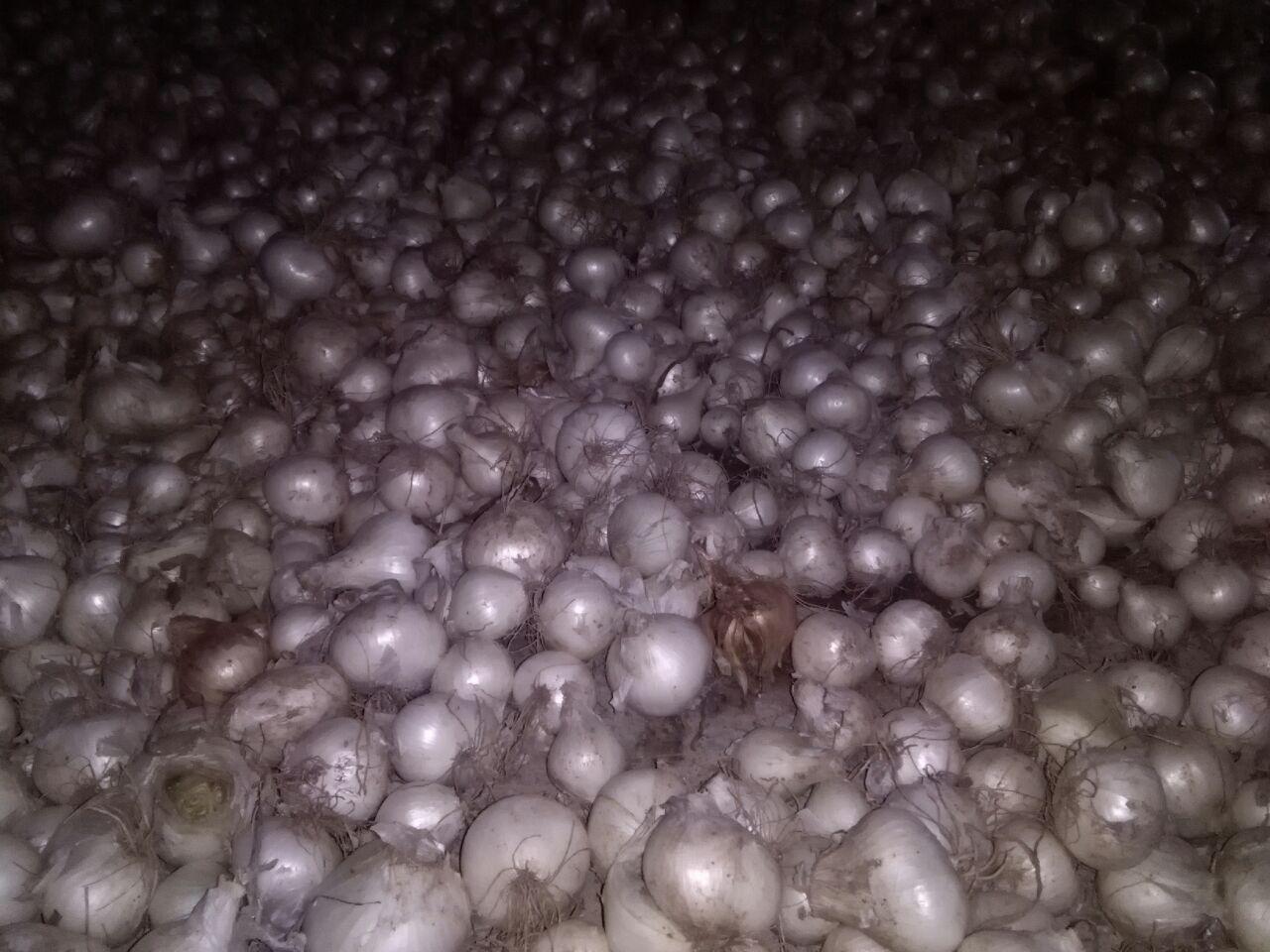 photo_2016_07_07_15_06_07.jpg (1280×960)