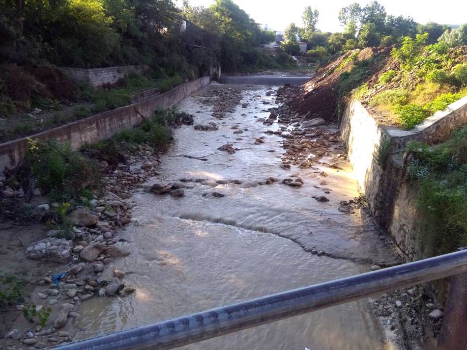 IMG_20160614_073146.jpg (950×713)