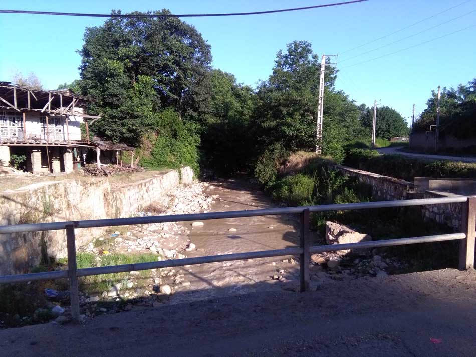 IMG_20160614_073153.jpg (950×713)