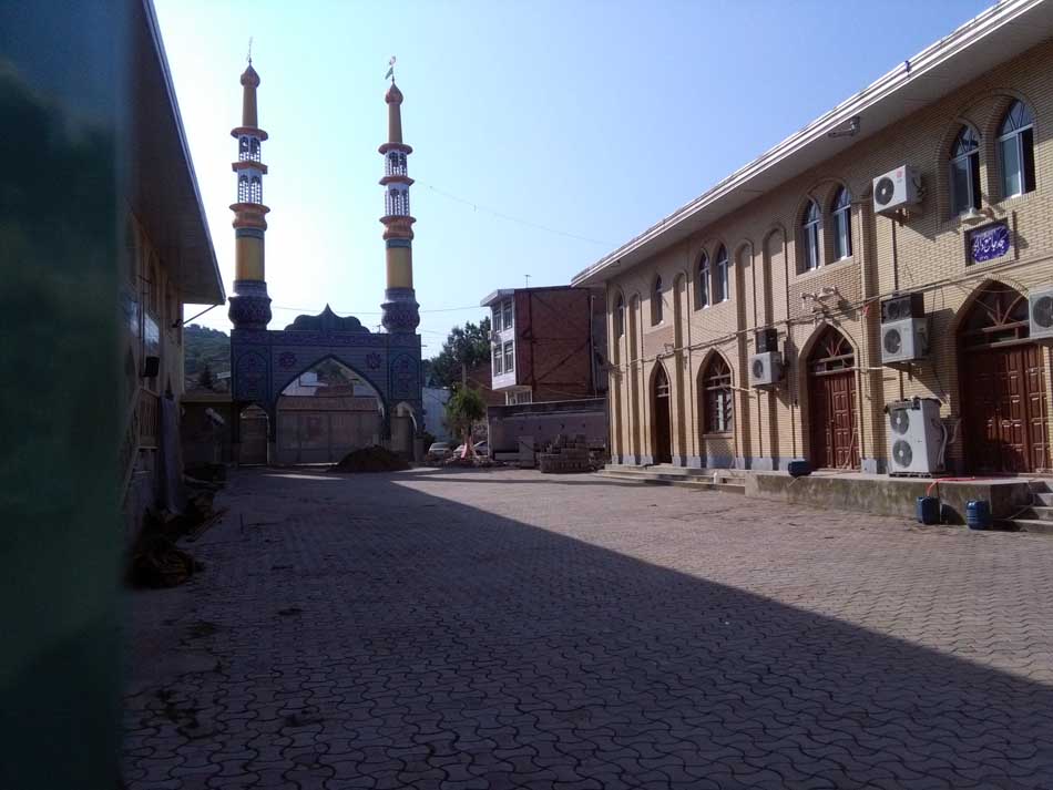 IMG_20160625_085422.jpg (950×713)