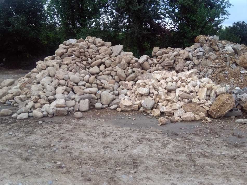 IMG_20160706_074239.jpg (950×713)