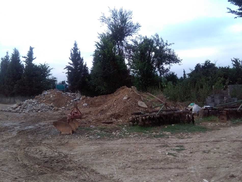 IMG_20160706_074324.jpg (950×713)