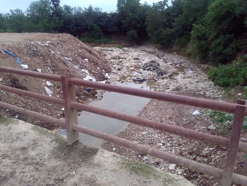 IMG_20160706_075122.jpg (950×713)