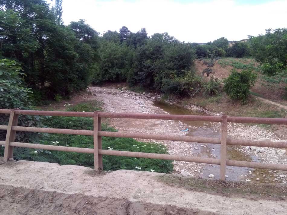 IMG_20160706_075127.jpg (950×713)