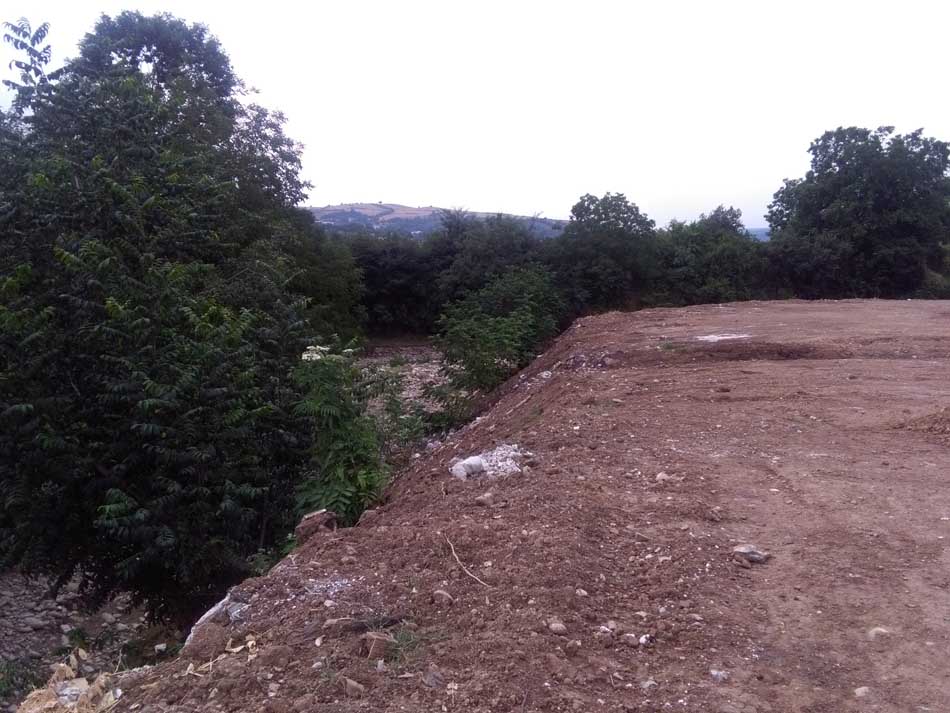 IMG_20160706_075314.jpg (950×713)