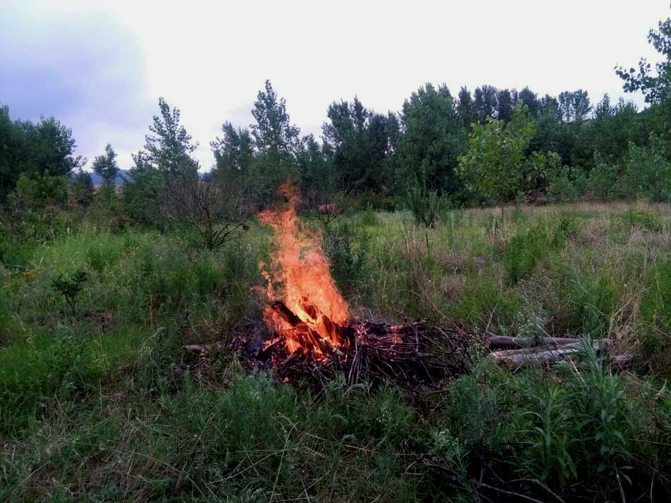 IMG_20160706_115502.jpg (950×713)