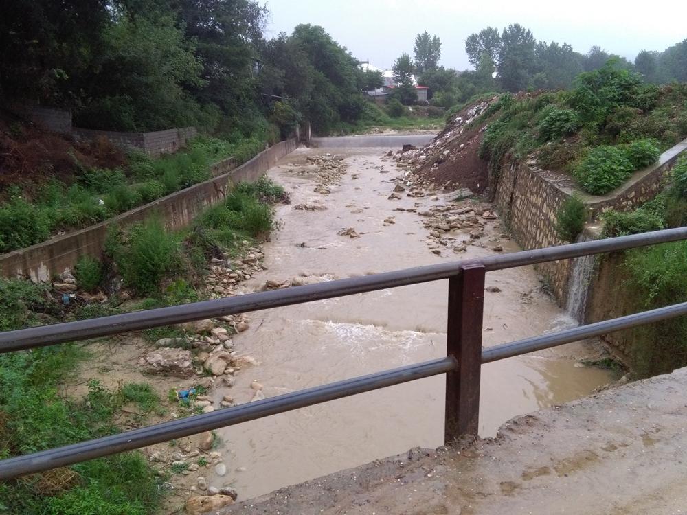 photo_2016_07_12_08_55_55.jpg (1000×750)