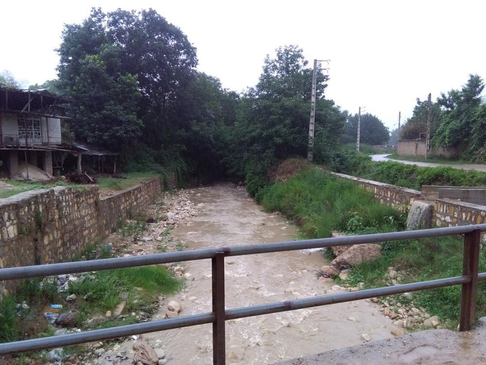 photo_2016_07_12_08_55_58.jpg (1000×750)