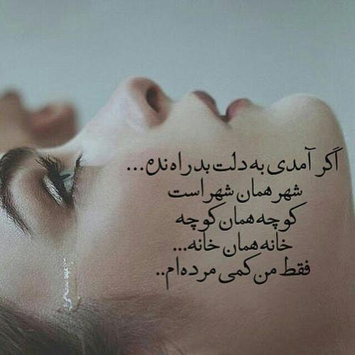 شهر همان شهر است
