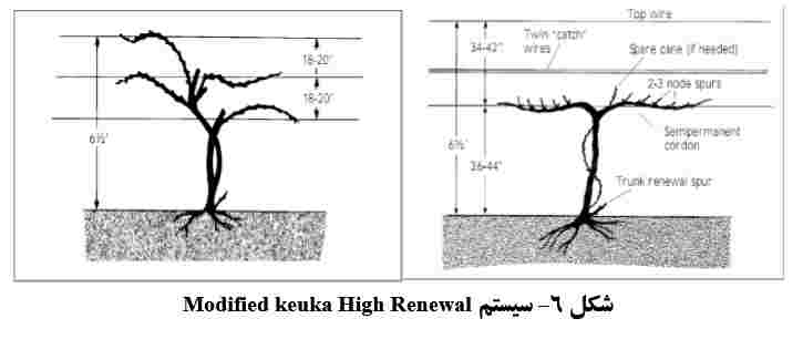 سیستم Modified keuka High Renewal