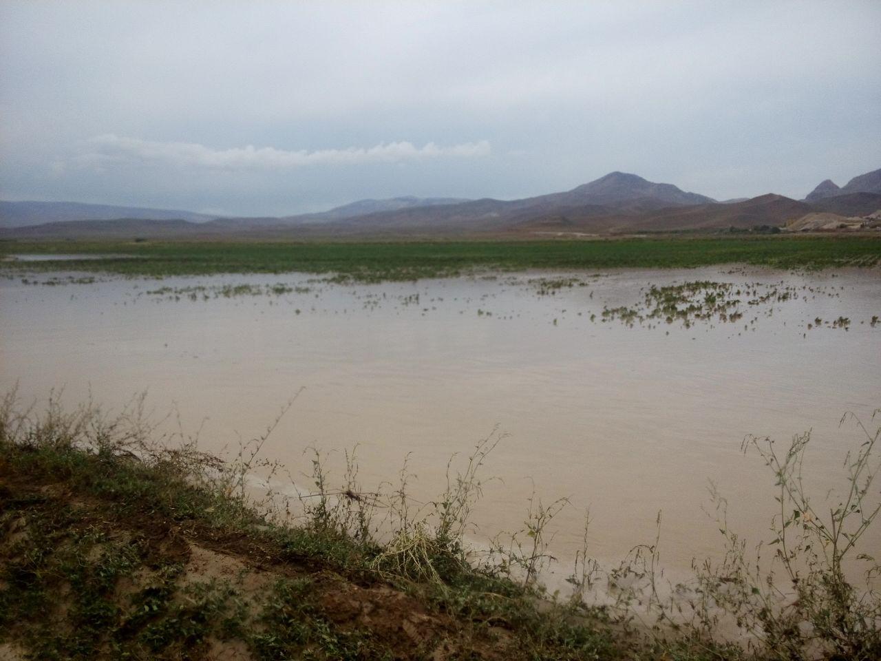 خسارت سیلاب به روستای دشت شهرستان گرمه / تصاویر