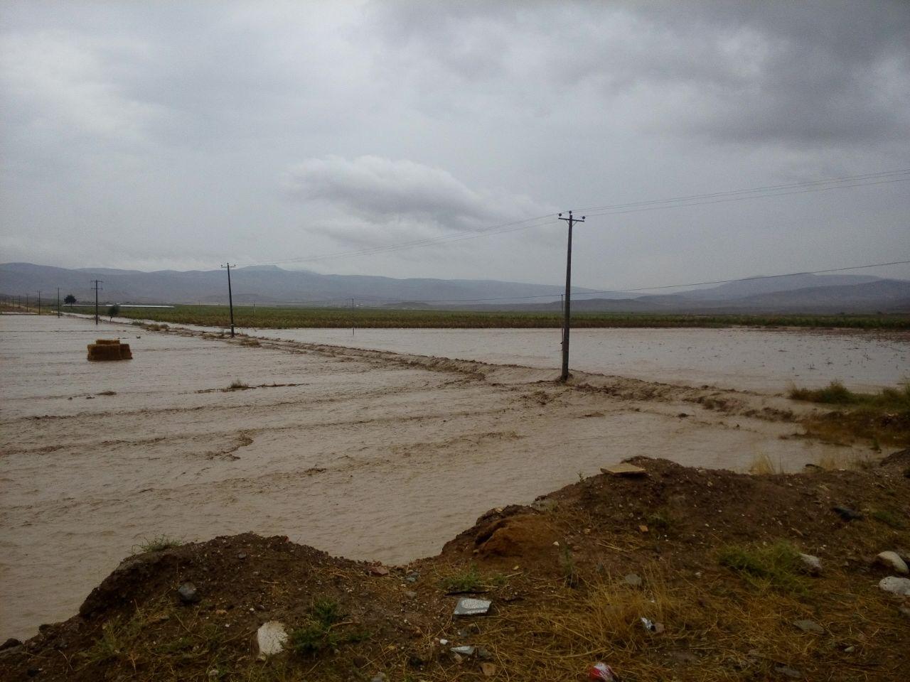 خسارت سیلاب به روستای دشت شهرستان گرمه / تصاویر