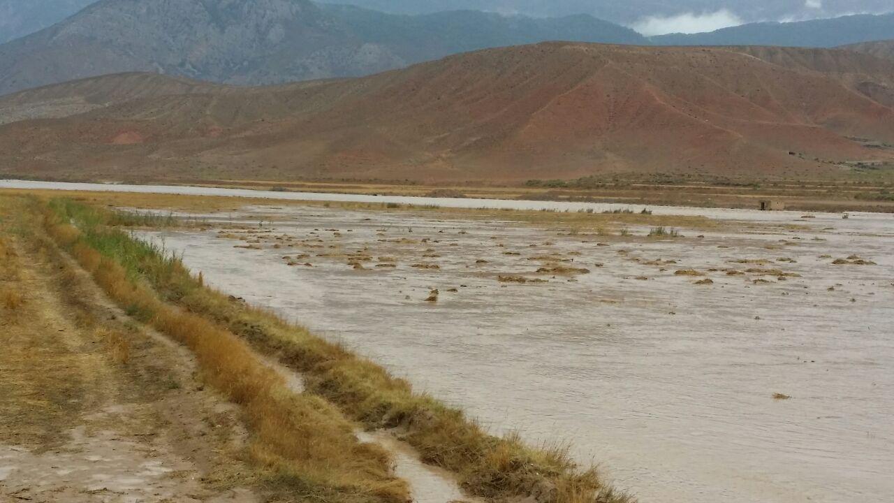 خسارت سیلاب به روستای دشت شهرستان گرمه / تصاویر